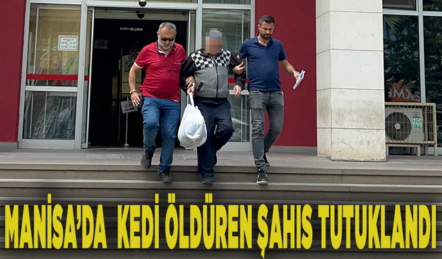 Manisa'da kedi öldüren şahıs tutuklandı
