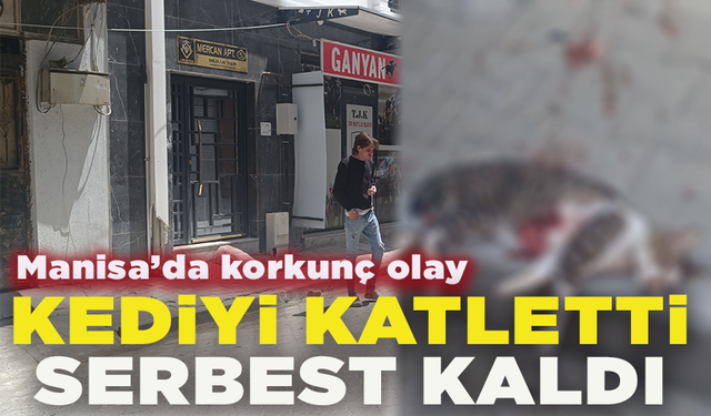 Turgutlu'da sokak kedisini pompalı tüfekle vuran şahıs serbest kaldı