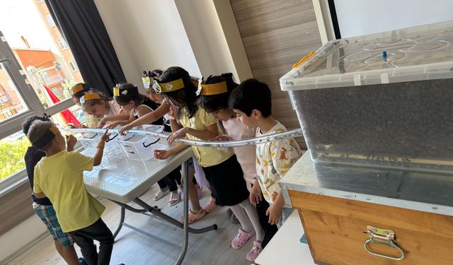 Minikler, arılarla buluştu balın yolculuğunu öğrendi
