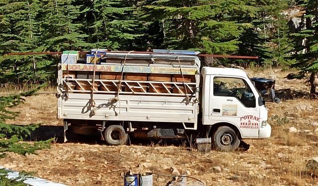 Yayla Göçü Başladı: Arıcılar Sezona “Bal” Gibi Başladı