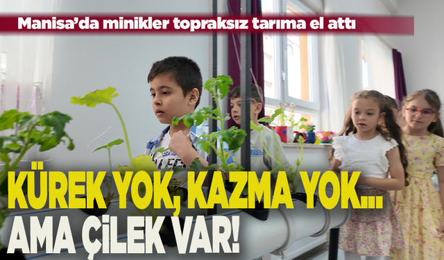 Manisalı minik çiftçiler topraksız tarımla üretim yapıyor