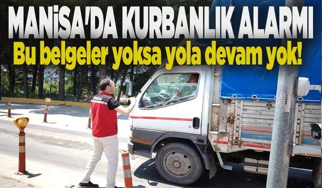 Manisa’da kurbanlık sevkiyatlarına sıkı denetim: Aşısız ve belgesiz hayvanlara geçit yok