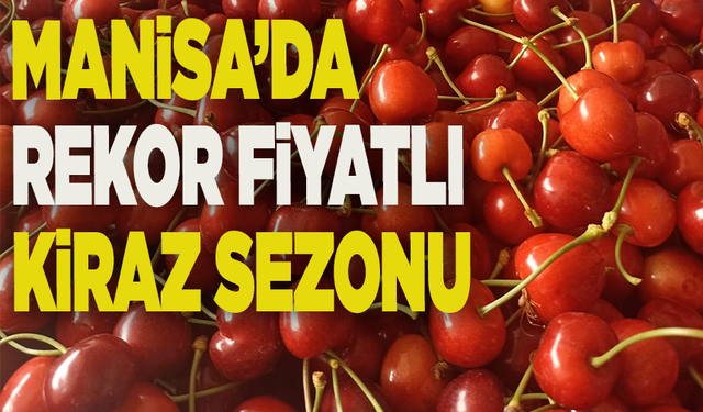 Manisa’da üretici zirai donla sarsıldı, kiraz fiyatıyla teselli buldu