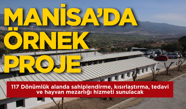 Manisa'dan Türkiye'ye örnek tesis: Hayvanlar için barınak, tedavi, sahiplendirme ve mezarlık tek merkezde