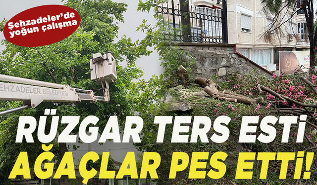 Şehzadeler’de rüzgar ters esti, ağaçlar pes etti!