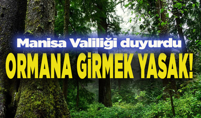 Valilikten kritik karar: O bölgelere artık girmek yasak!