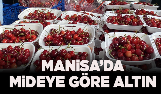 Manisa’da mideye göre altın! 2,5 kilo kirazla birinci oldu