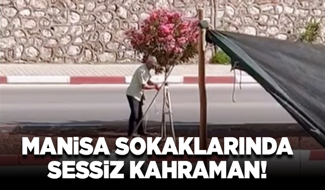 Manisa sokaklarında sessiz kahraman!