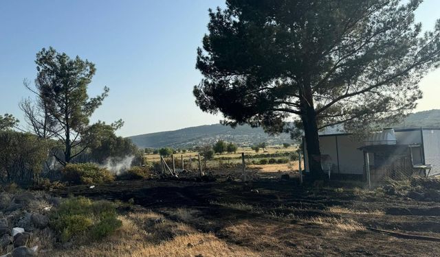 Mangal yakarak orman yangınına neden olan şahıs tutuklandı