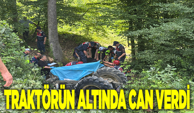 Devrilen traktörün altında kaldı