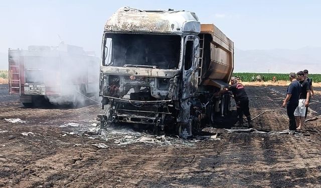 Anız yangını milyonluk tırı kül etti
