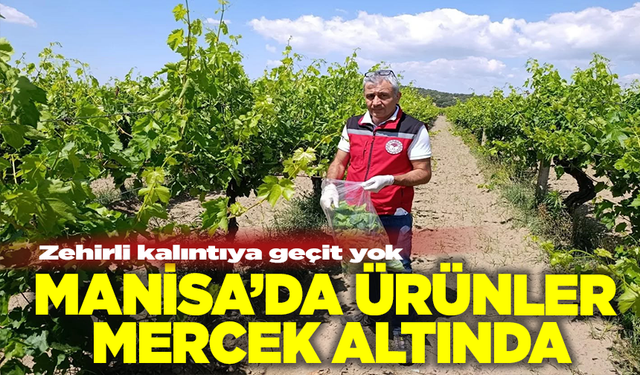 Manisa’da tarladan sofraya güvenli gıda için sıkı denetim!