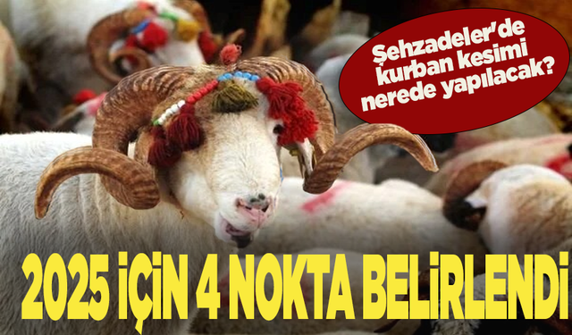 Şehzadeler'de kurban kesimi nerede yapılacak? 2025 için 4 nokta belirlendi