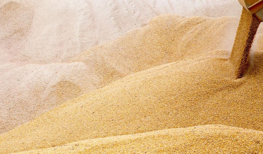Norveç yaklaşık 30 bin ton tahıl stoklayacak
