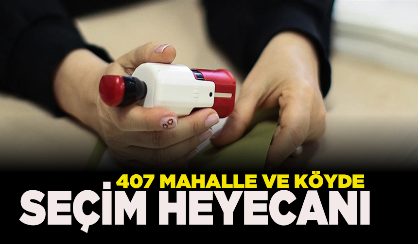 1 Haziran'da 407 mahalle ve köyde seçim yapılacak