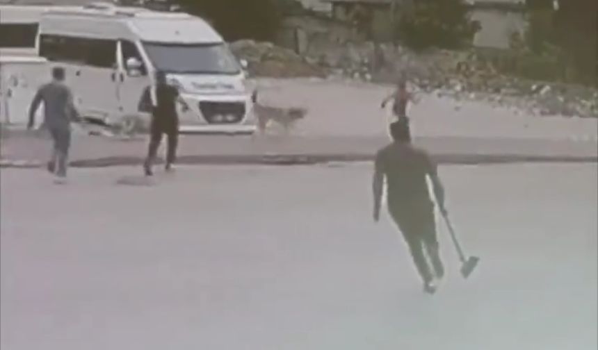 Sokak  köpekleri çocuğa saldırdı