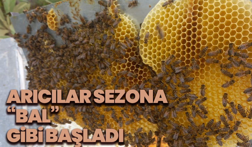 Yayla Göçü Başladı: Arıcılar Sezona “Bal” Gibi Başladı
