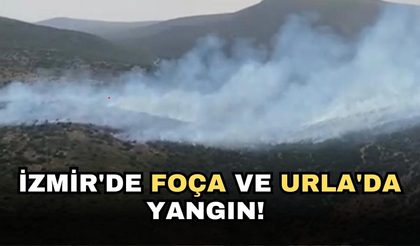 İzmir'de Foça ve Urla'da yangın!