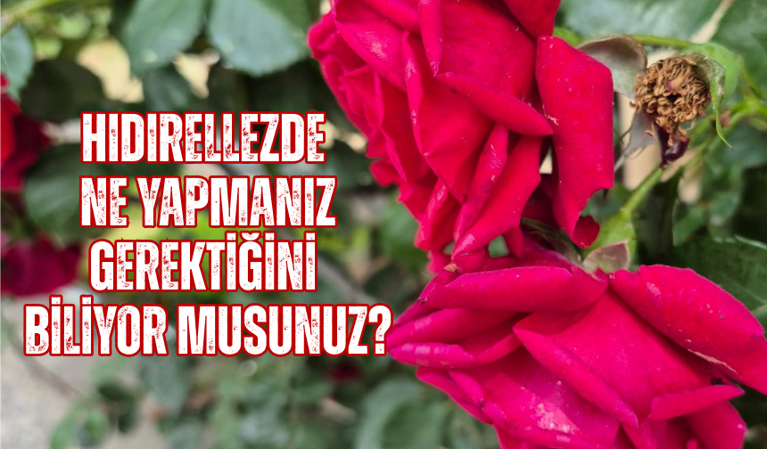 Hıdırellez'de ne yapmanız gerektiğini biliyor musunuz?