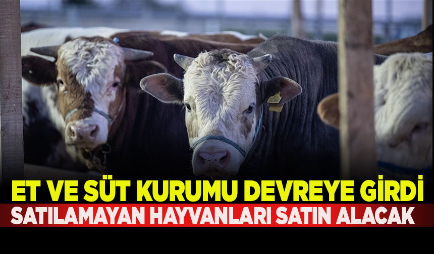 Et ve Süt Kurumu, kurban pazarlarında satılamayan hayvanları satın alacak