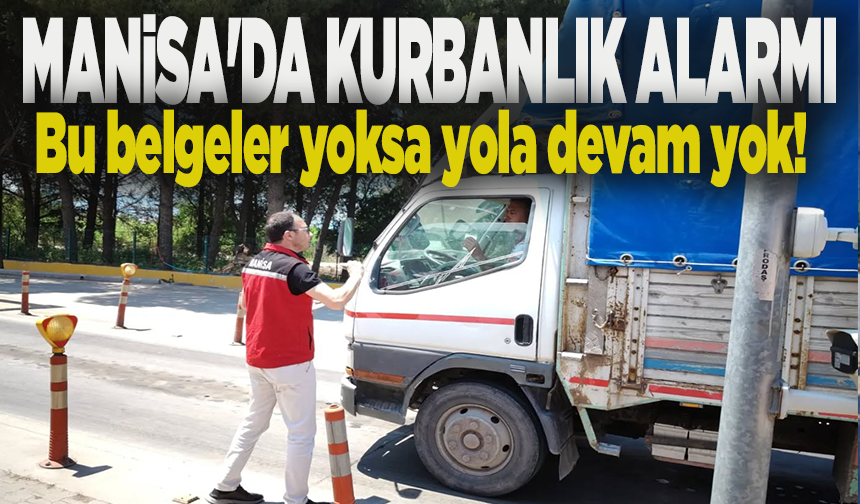 Manisa’da kurbanlık sevkiyatlarına sıkı denetim: Aşısız ve belgesiz hayvanlara geçit yok