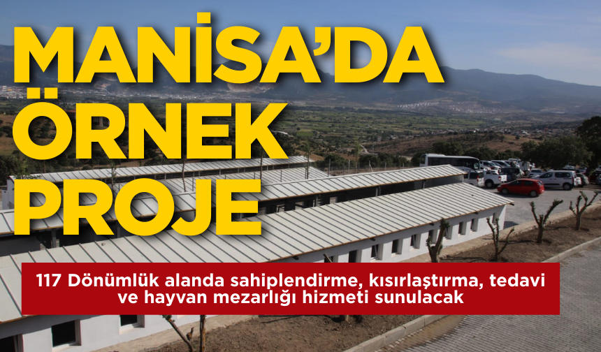 Manisa'dan Türkiye'ye örnek tesis: Hayvanlar için barınak, tedavi, sahiplendirme ve mezarlık tek merkezde