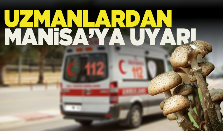Mantardan zehirlenen 3 çocuk yoğun bakımda! Uzmanlardan Manisa’ya uyarı