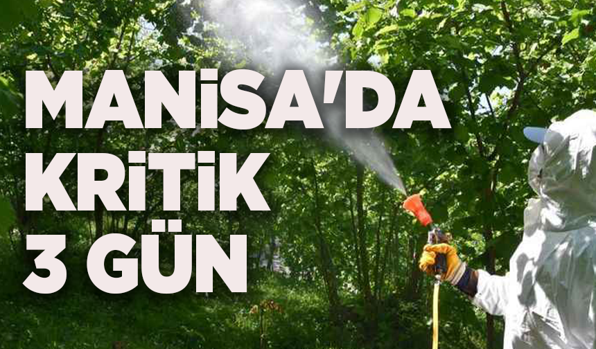 Bağlarda kritik tarihler! Manisa'da kritik 3 gün