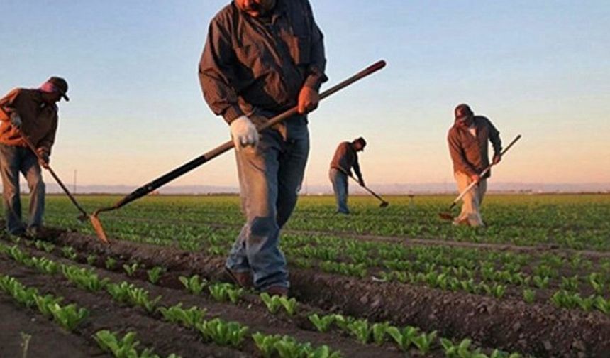 Çiftçilere önemli uyarı: ÇKS güncellemeleri için son tarih 30 Haziran!