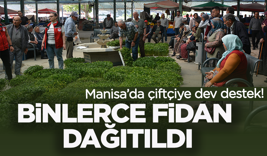 Manisalı çiftçilere binlerce ücretsiz sebze fidesi dağıtıldı