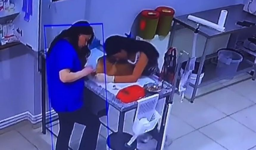 Veteriner kliniğinde köpeğini tedavi ettiren kadın bayıldı