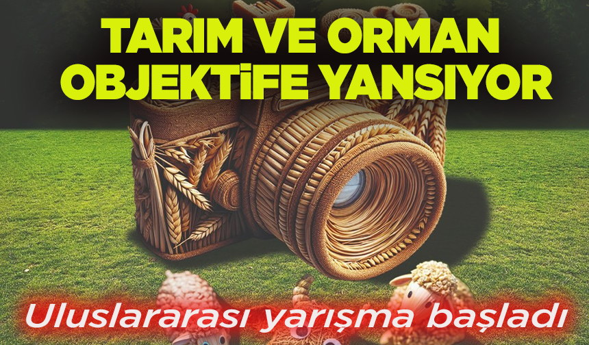 Tarım ve orman objektife yansıyor: Uluslararası yarışma başladı