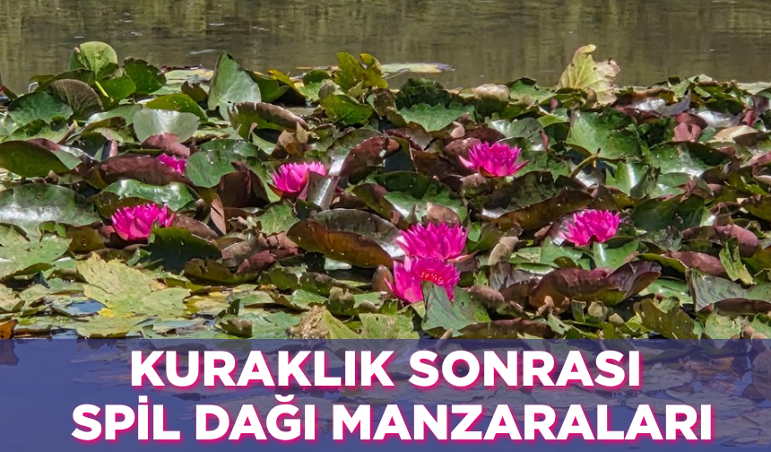 Geçen sene kuraklık vurdu, bu sene Spil Dağı'nda görsel şölen var