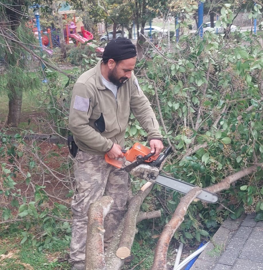 Turgutlu Belediyesi Ekiplerinden Devrilen Ağaçlara Anında Müdahale  4