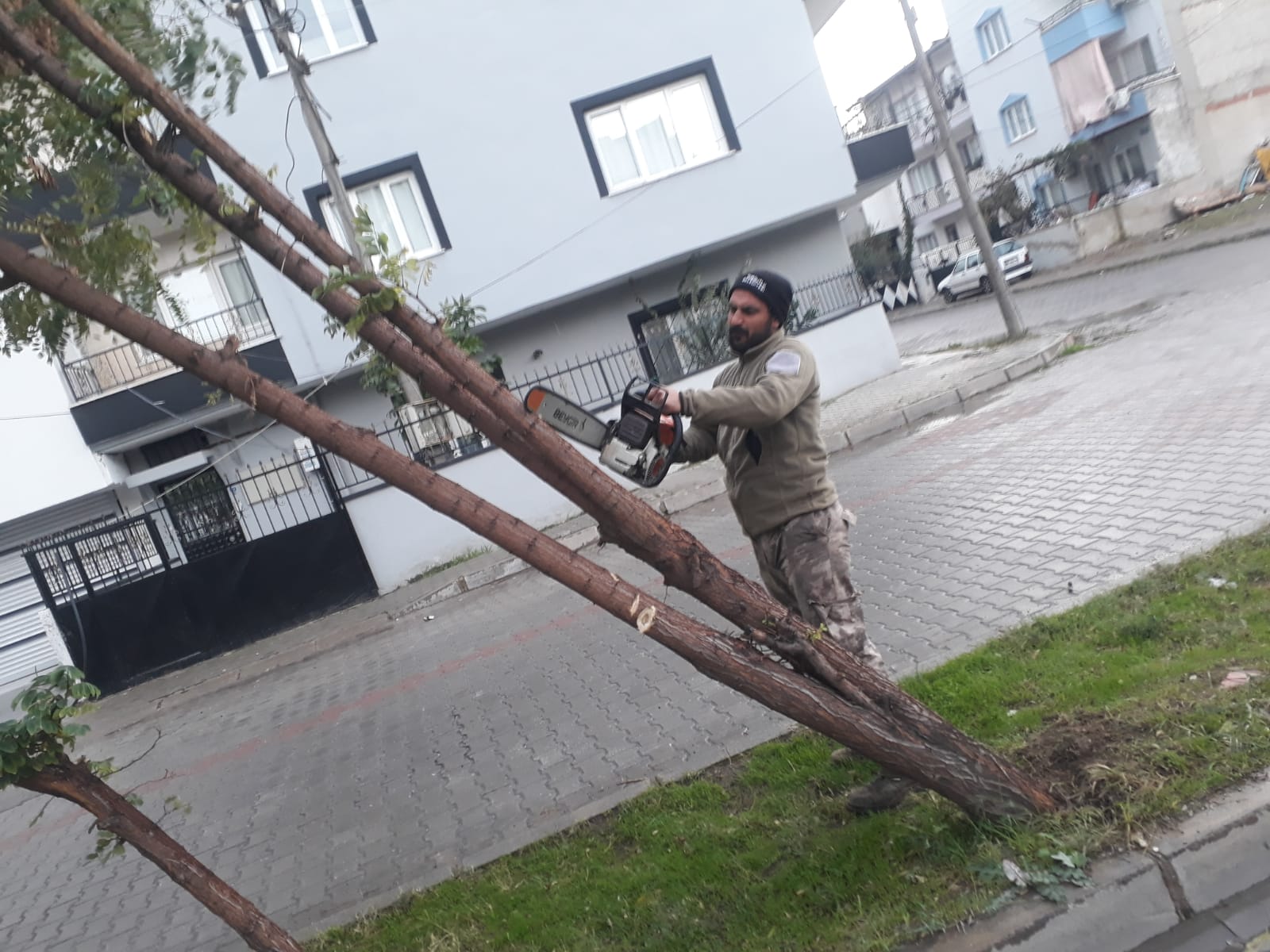 Turgutlu Belediyesi Ekiplerinden Devrilen Ağaçlara Anında Müdahale  6