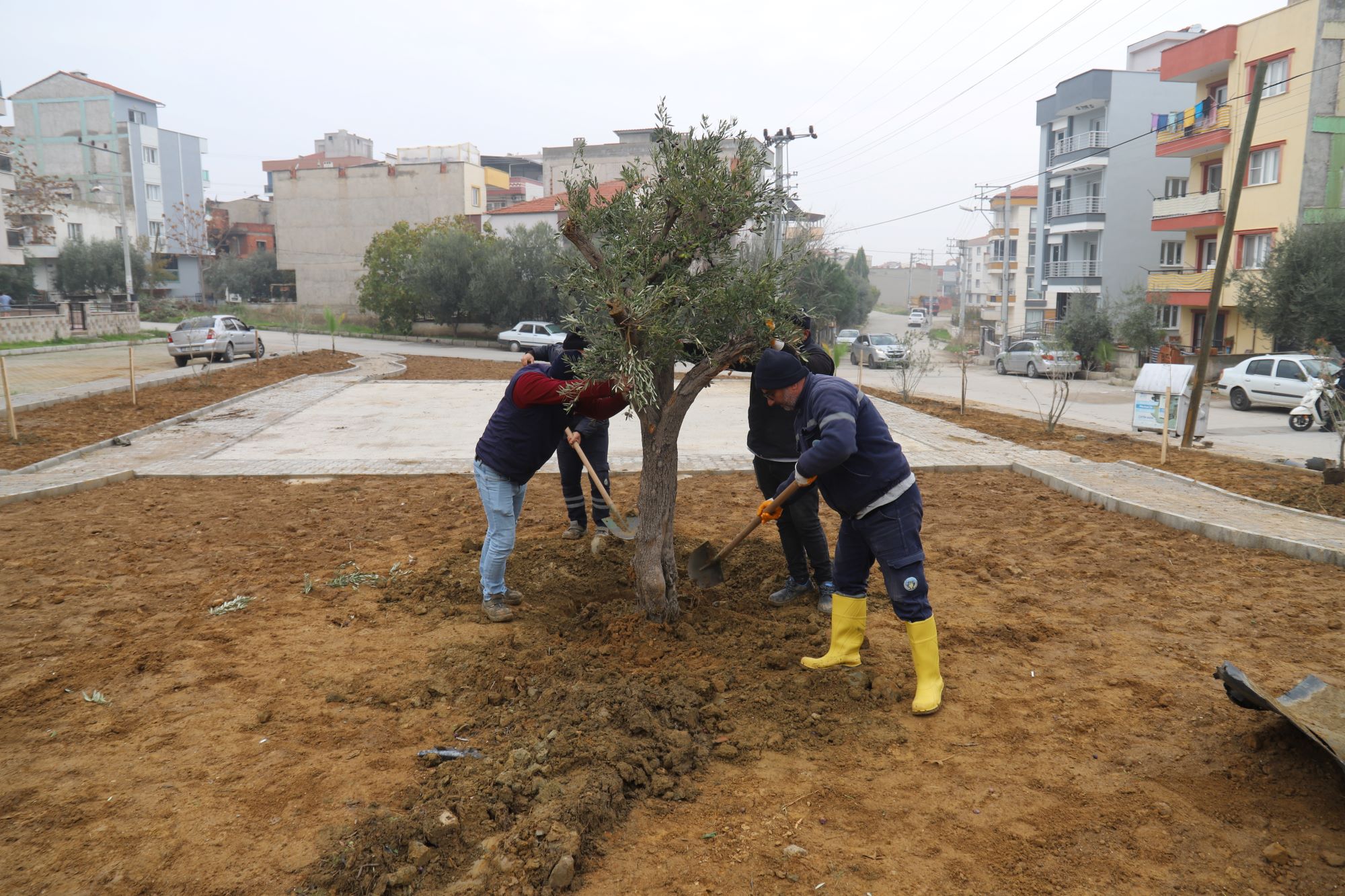 Park Ve Bahçeler Müdürlüğünden Turgutlu’da Kapsamlı Çalışma 3