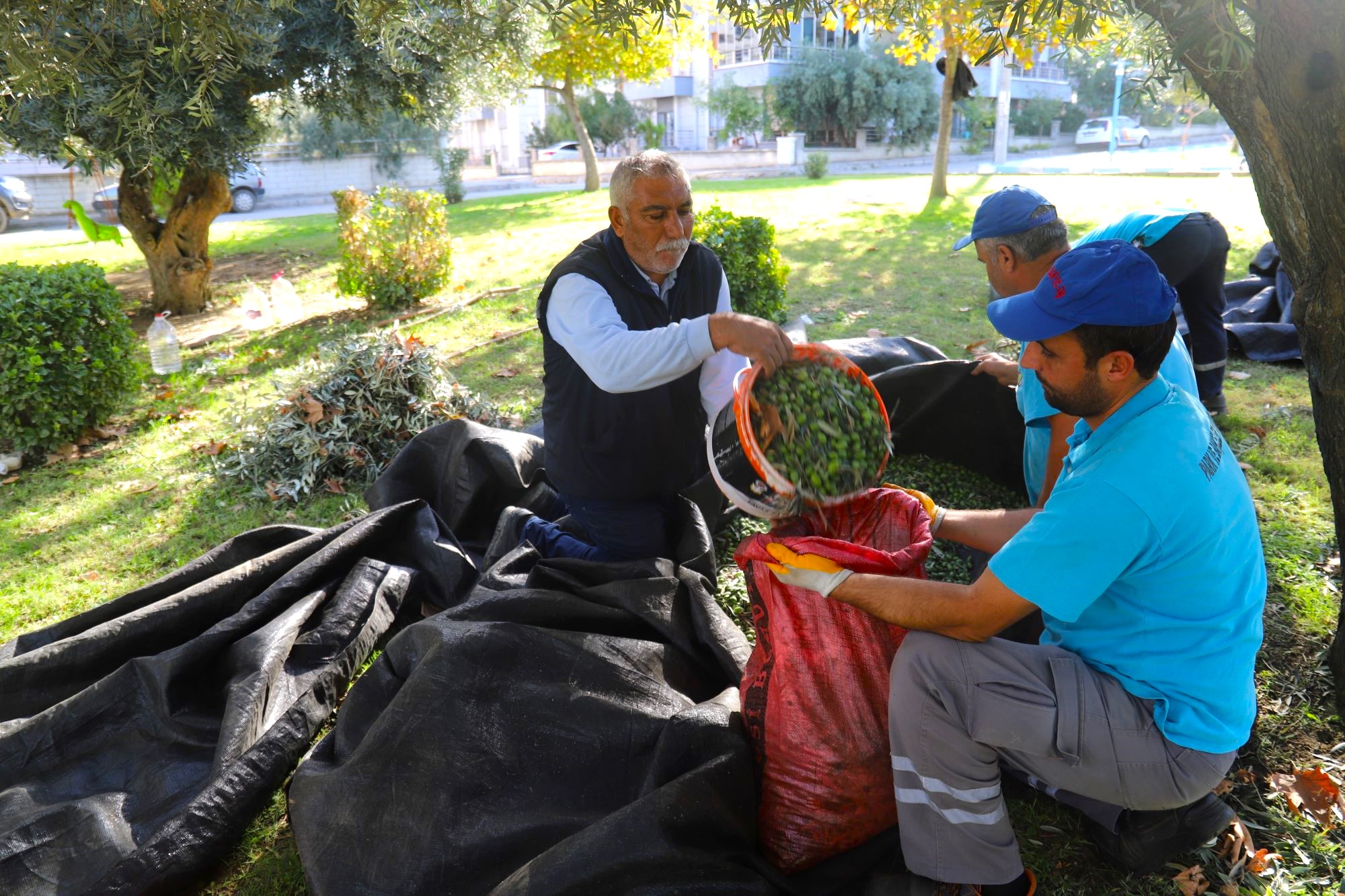 Turgutlu Belediyesi Topluyor Vatandaşın Sofrasına Geliyor 6