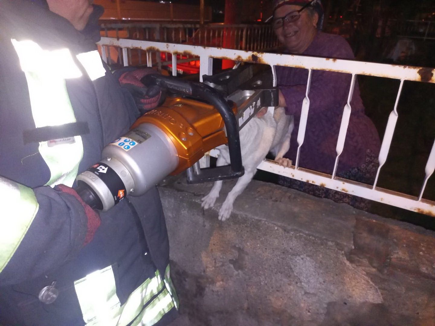 Manisa'da Korkuluklara Sıkışan Köpek Kurtarıldı (3)