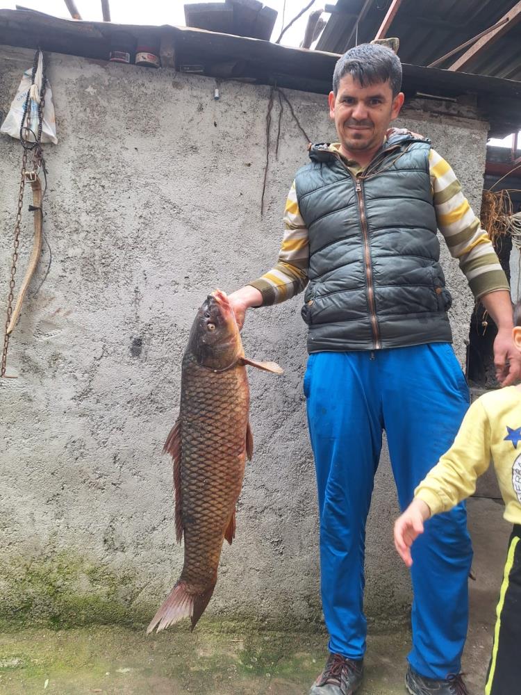 25 Kiloluk Sarı Balık Ağlara Yakalandı (4)