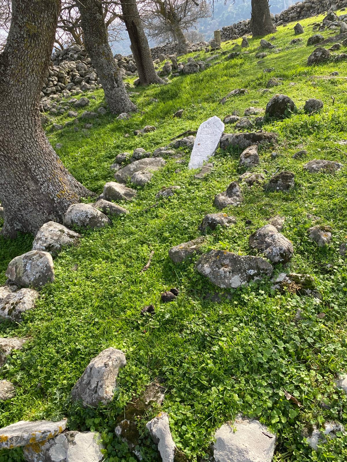 Manisa Sarınasuhlar'daki Osmanlı'dan Kalma Mezarlık Definecilerin Hedefinde (11)