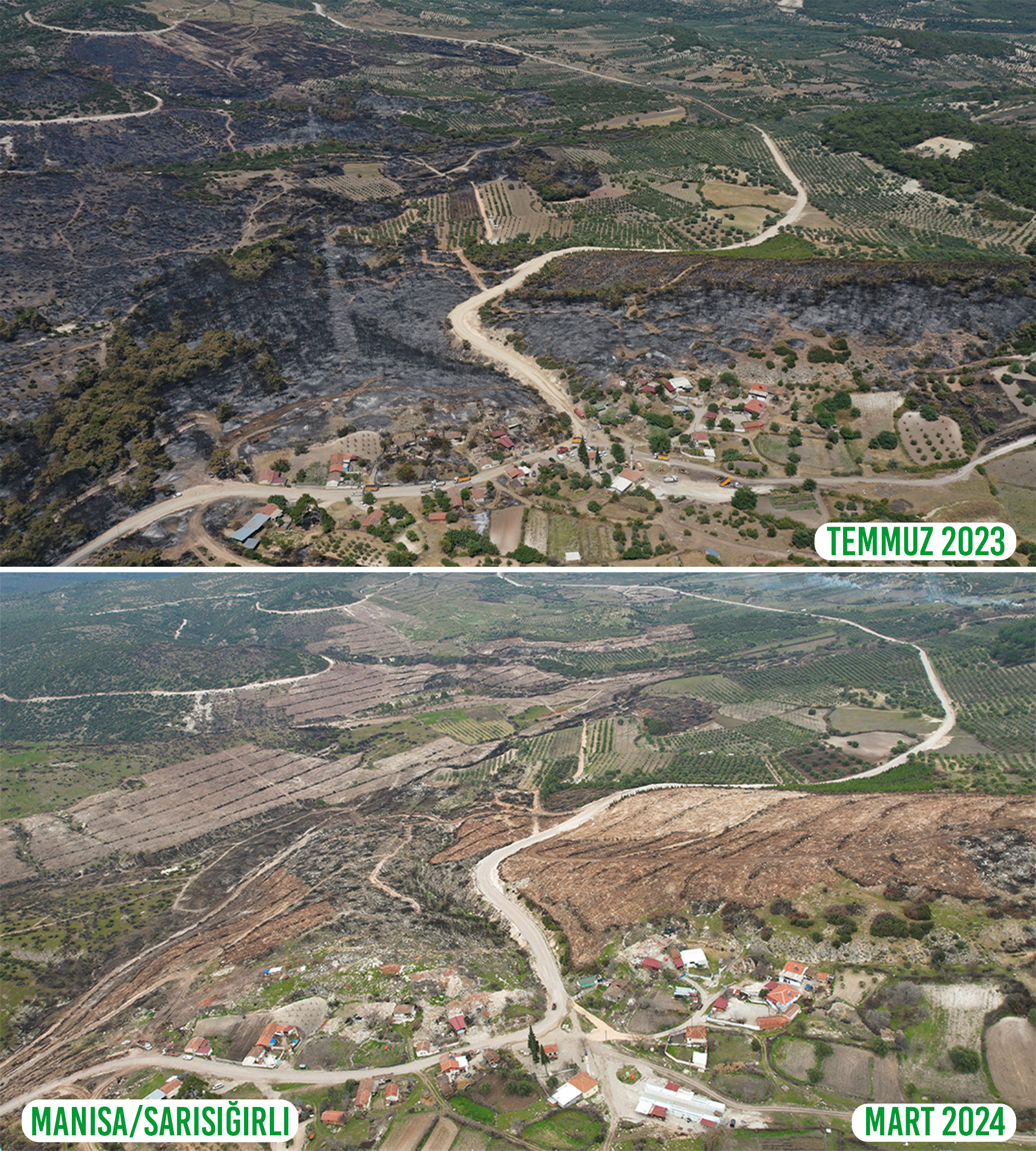 Manisa'da Yangınlarda Hasar Gören Alanlar Ağaçlandırıldı (2)