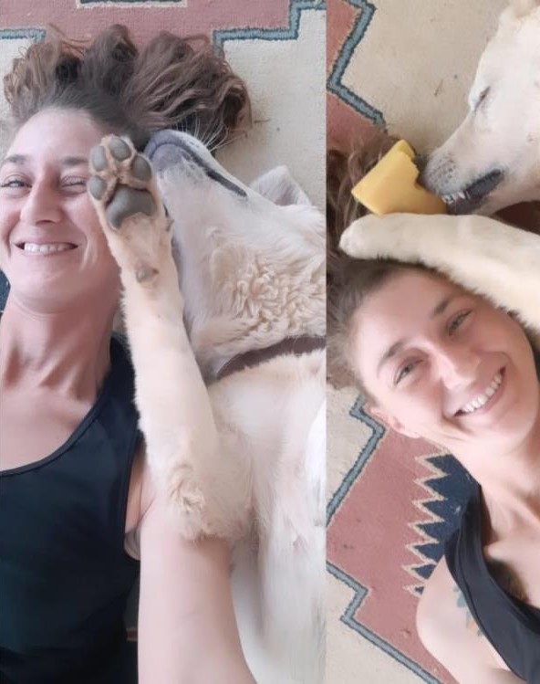 Kedi Ve Köpek Katliamı 5 Köpek Ve 2 Kedi Zehirlendi (1)