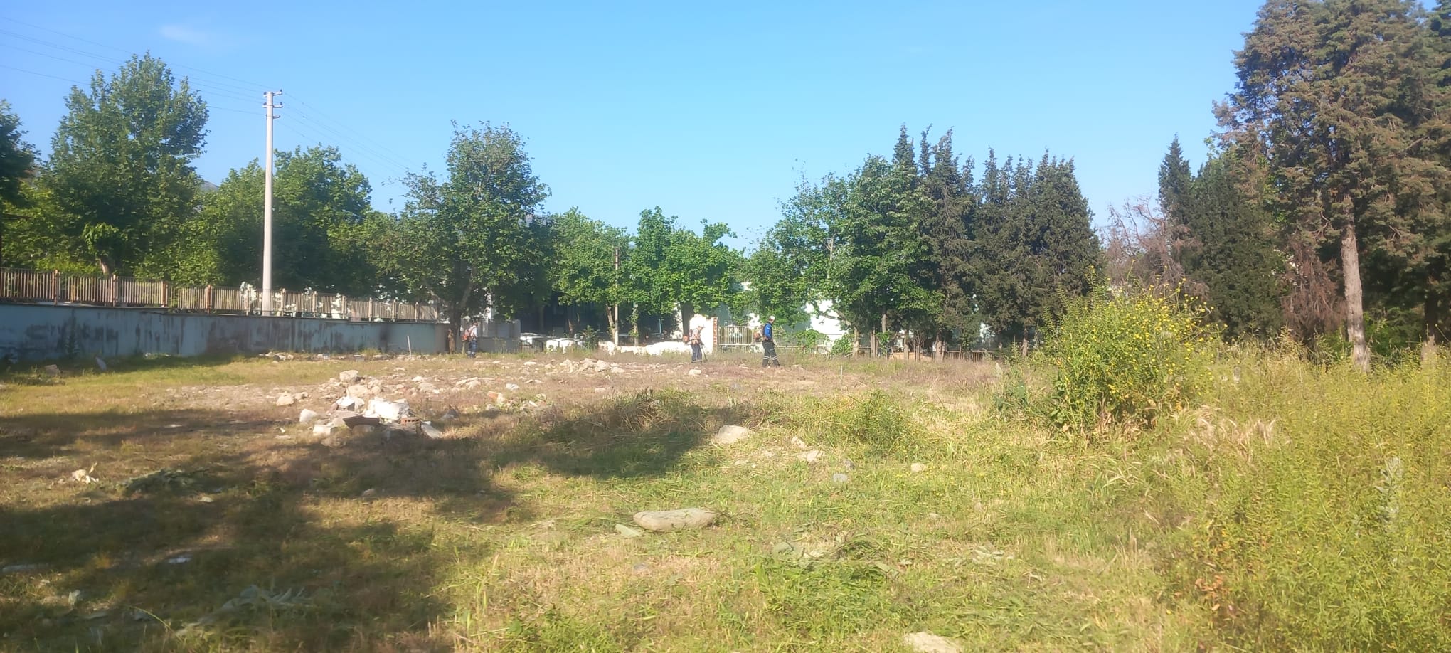 Yunusemre Belediyesi Park Ve Bahçeler Müdürlüğü Ekiplerinden Yaz Mesaisi (4)