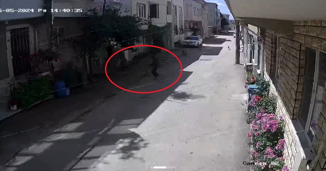 Sokak Köpekleri 3 Çocuğa Saldırdı, Olay Anı Kameraya Yansıdı   (1)
