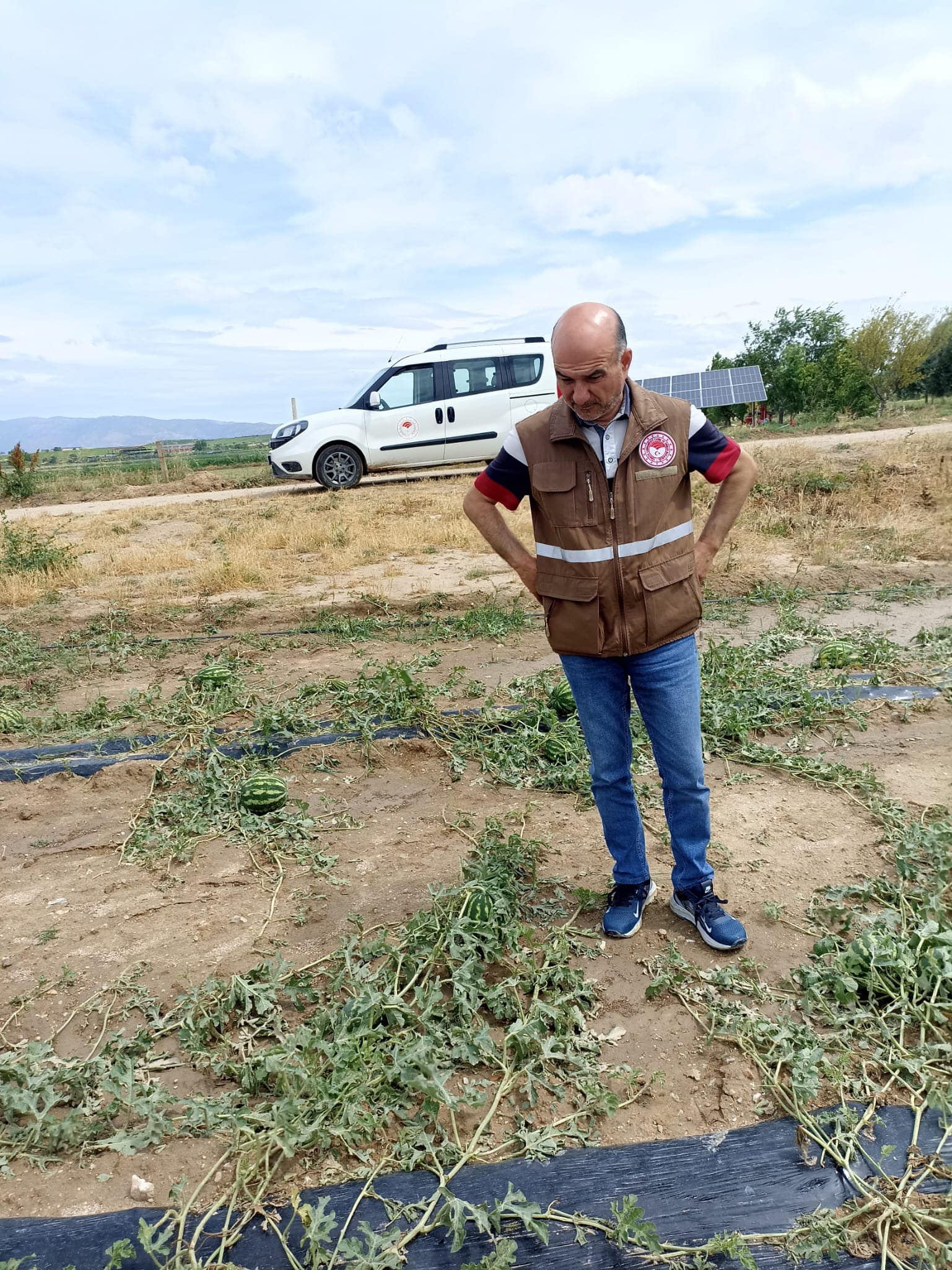 Manisa'da Dolu'dan Zarar Gören Tarım Arazilerin Inceleme Başlatıldı (8)