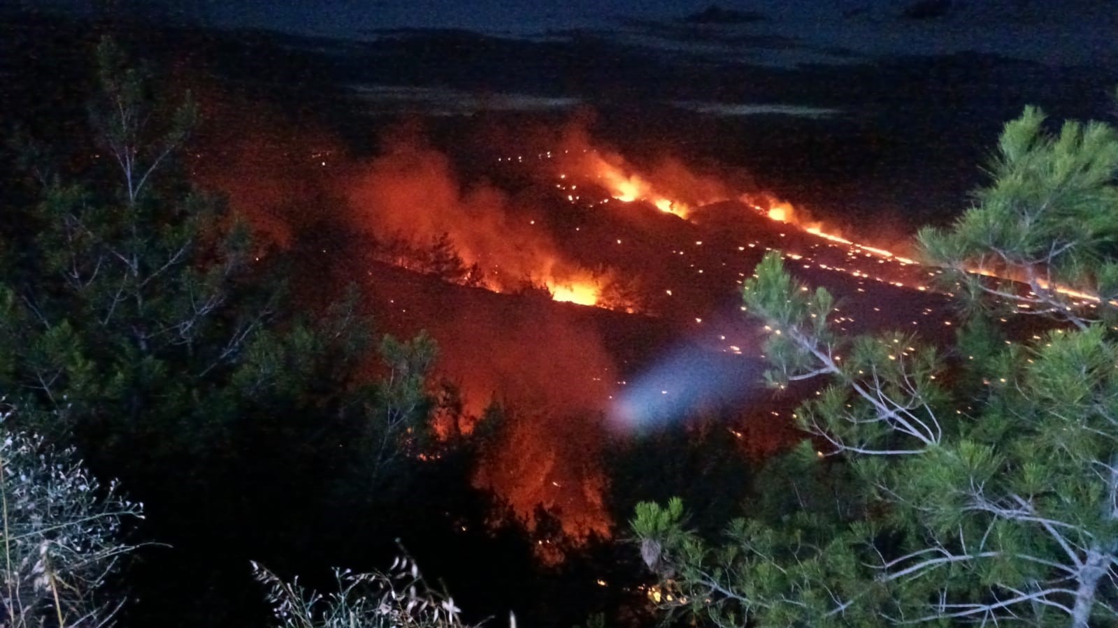 Adana'da Orman Yangını (1)