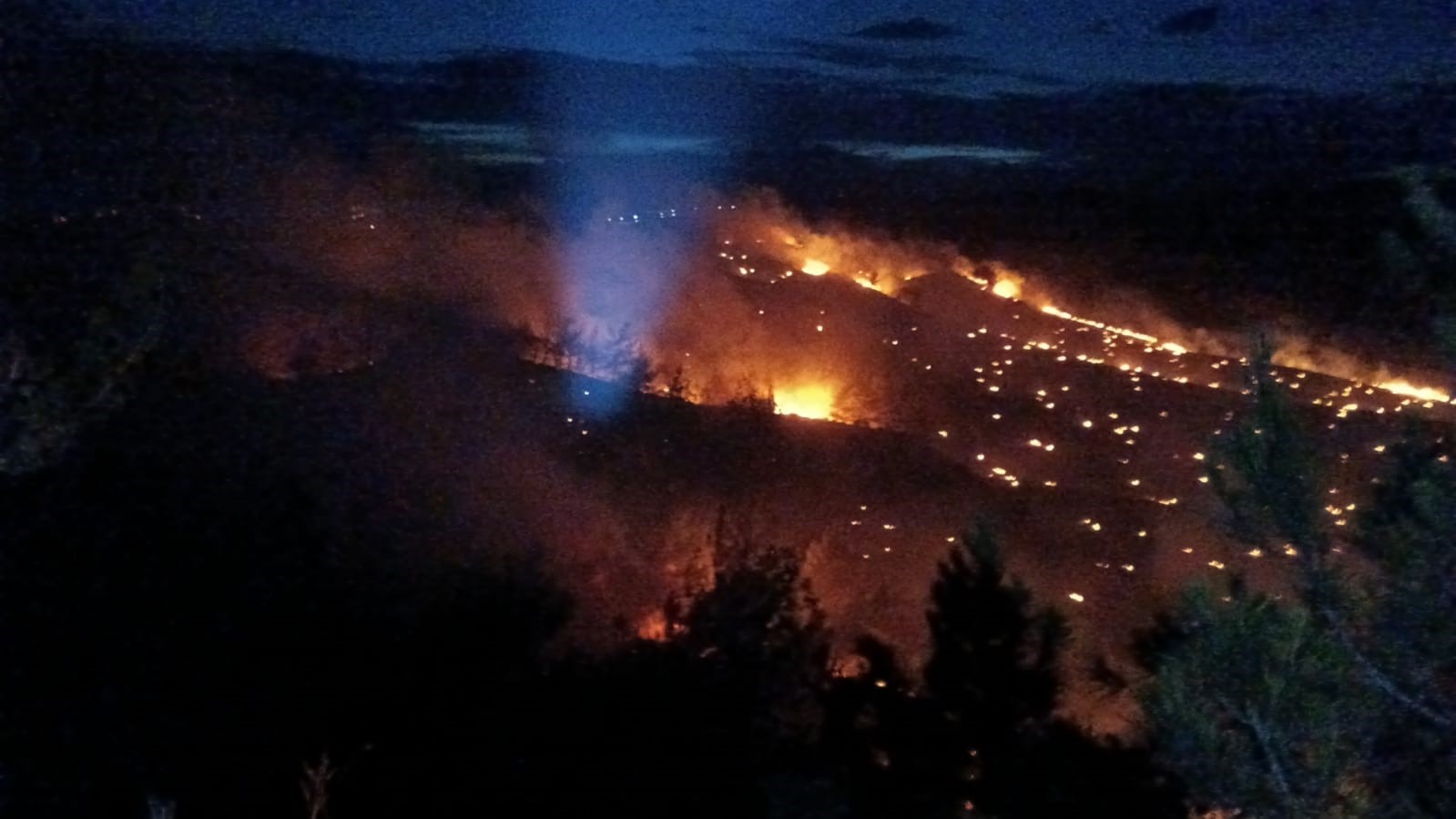 Adana'da Orman Yangını (2)