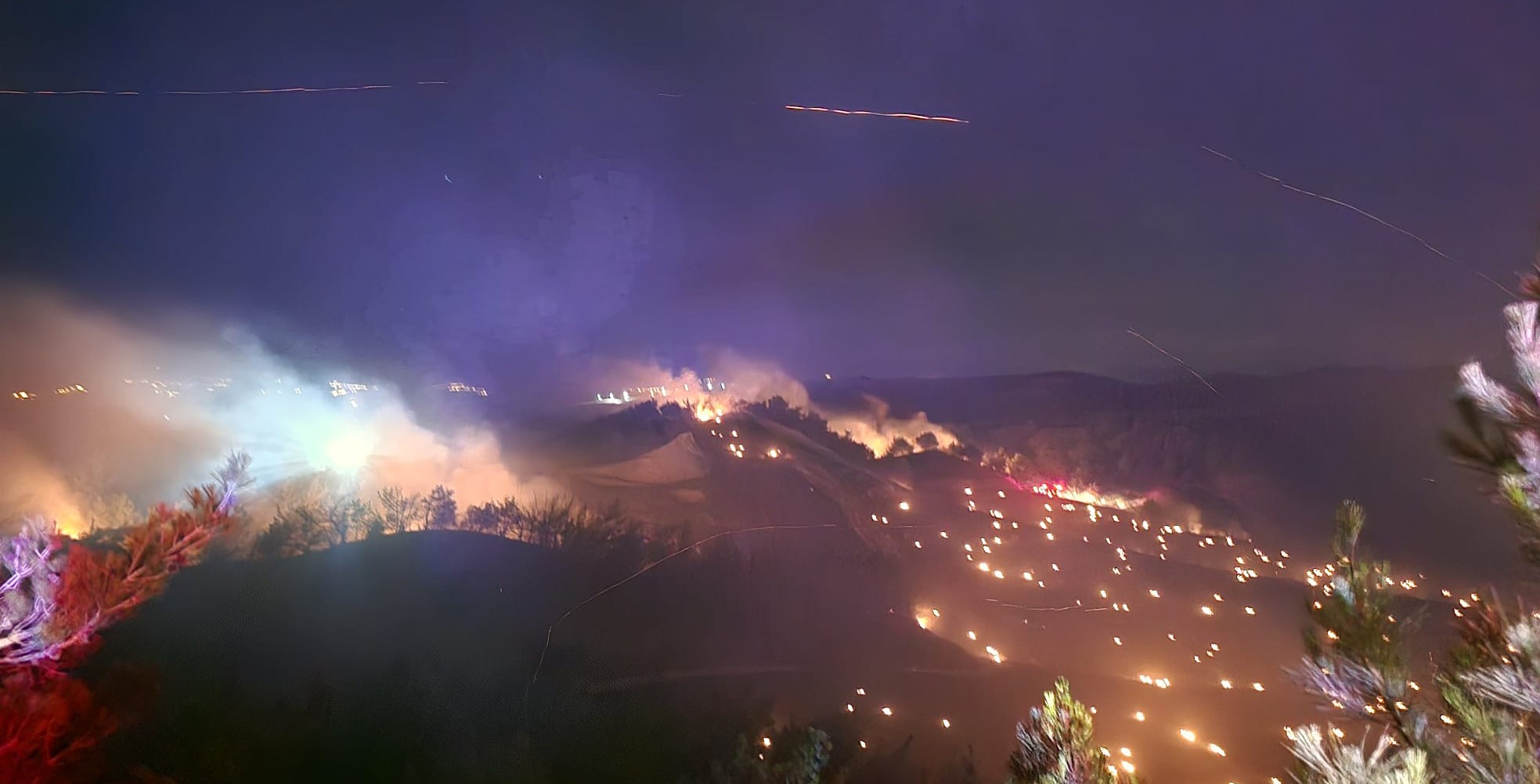 Adana'da Orman Yangını (4)