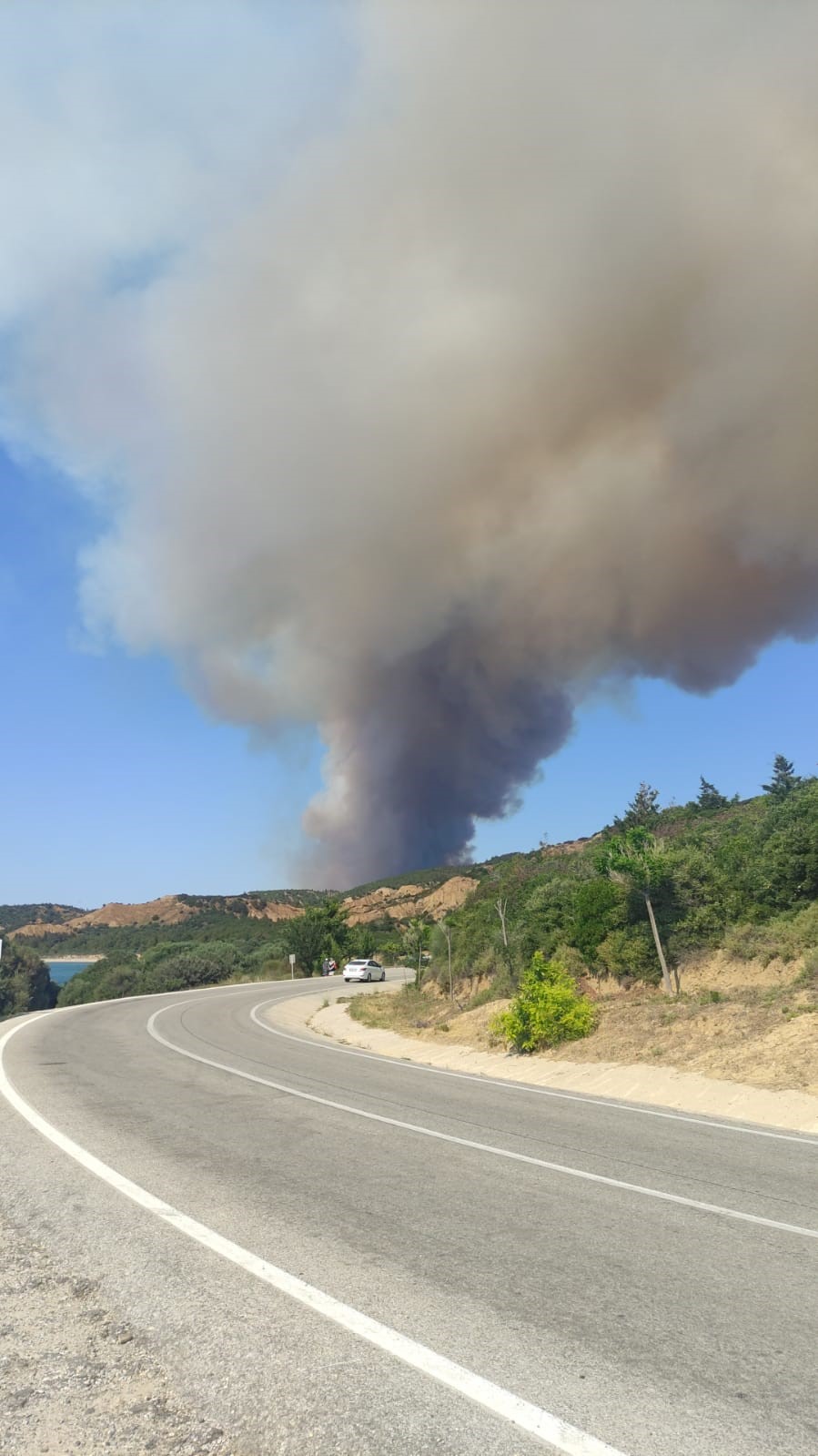 Çanakkale'de Orman Yangını, Gemi Trafiği Askıya Alındı (2)