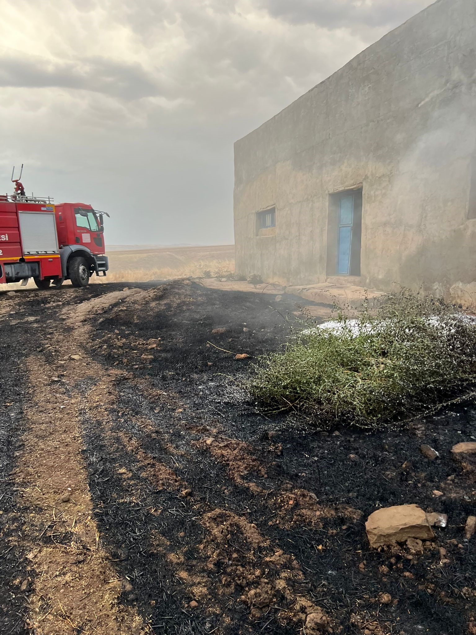 Siirt'teki Anız Yangınları Kontrol Altına Alındı (4)